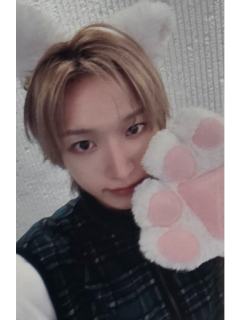 ms签售11.0 3 线上小猫ver.