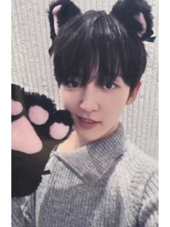 ms签售11.0 7 线上小猫ver.