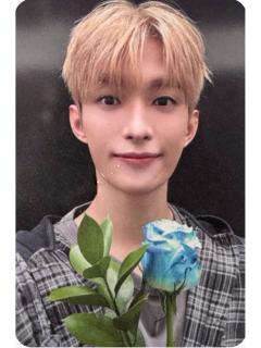 serenade打歌卡 硕