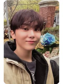 serenade打歌卡 甜