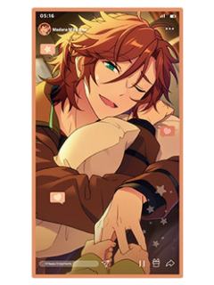 三毛缟斑透卡-直播第二弹系列