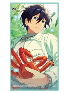 冰鹰北斗透卡-直播第二弹系列