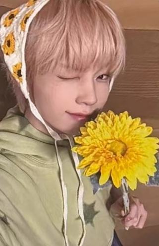 ms签售9.0 6 线上向日葵ver.