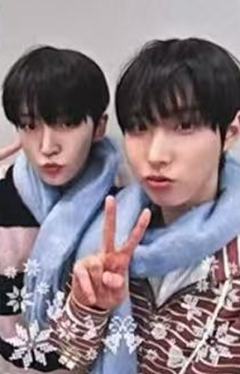 ms幸运卡3.0 56 围巾ver.A