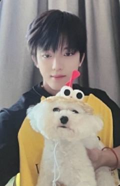 q音星光卡 四星ver.A