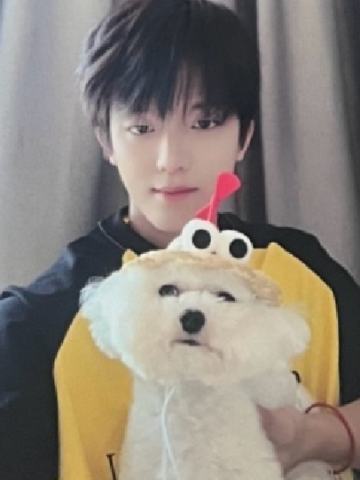 q音星光卡 四星ver.A