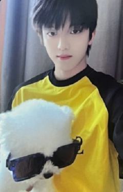 q音星光卡 四星ver.B