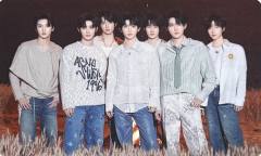 团团卡包小卡 团