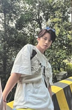 q音星光卡 二星ver.H