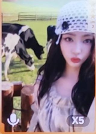 q音星光卡 三星ver.C