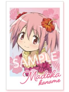 鹿目圆1拍立得-2026罗森联动