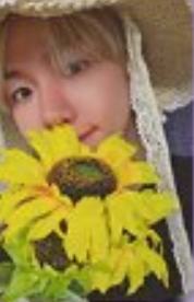 wm线上签售 ver.A