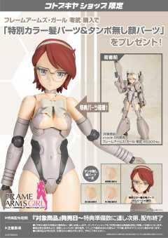 FAG 零武-资料图