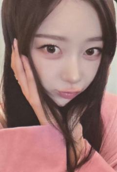 五周年风铃卡 梨