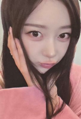 五周年风铃卡 梨