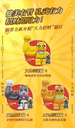 大力求签猫积木-资料图