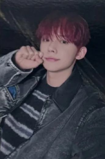 数星星北京签售1