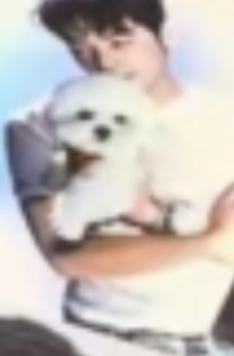 快闪随机卡 ver.D