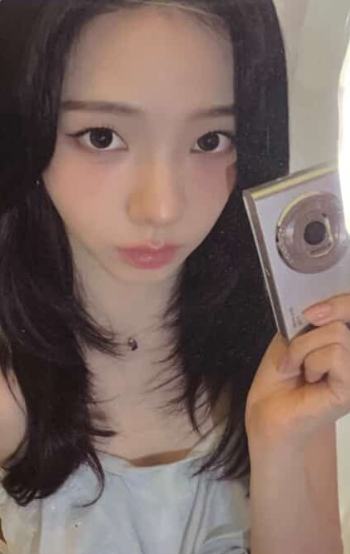 五周年相机卡 柚