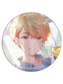 天马司 A细闪吧唧-vol.10