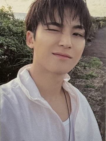 wvs场限卡 奎ver.B