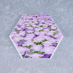 figma#653 Caster/阿尔托莉雅·Caster-资料图