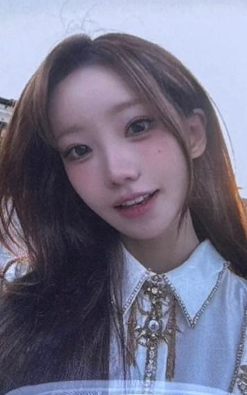 澳门vip入场卡mgt