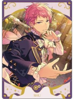 斋宫宗卡片14-斋宫宗10周年纪念系列