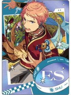 斋宫宗卡片2-斋宫宗10周年纪念系列