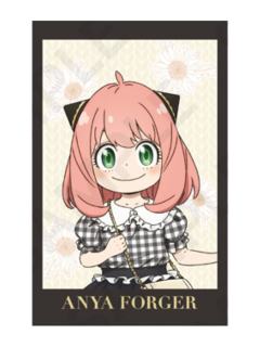 阿尼亚·福杰特典-黑白格子系列