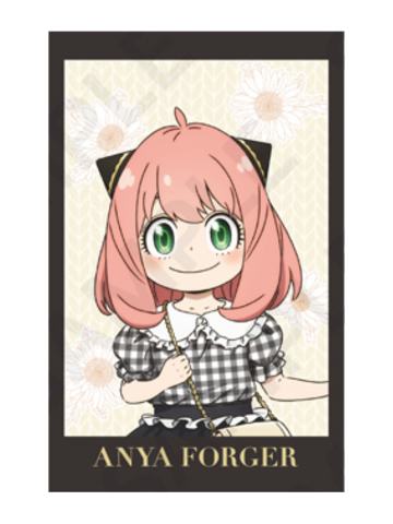 阿尼亚·福杰特典-黑白格子系列