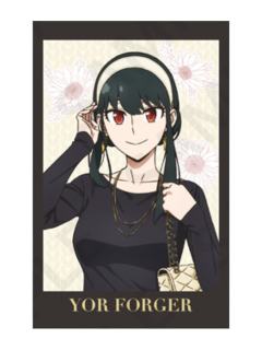 约尔·福杰特典-黑白格子系列