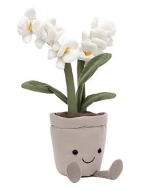 可爱白兰花-资料图