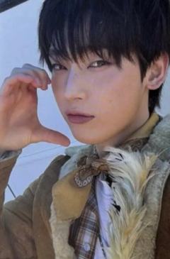 Alterlight版专卡5 ver.A