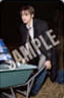 日本快闪随机卡 橙 ver.A