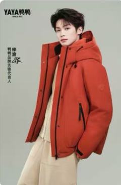 鸭鸭代言明信片 ver.3