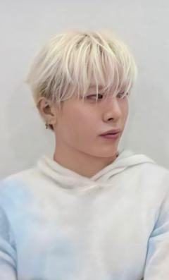 26台历卡套卡 桃