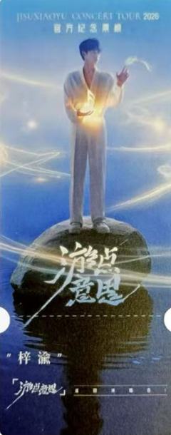 游点意思演唱会票根