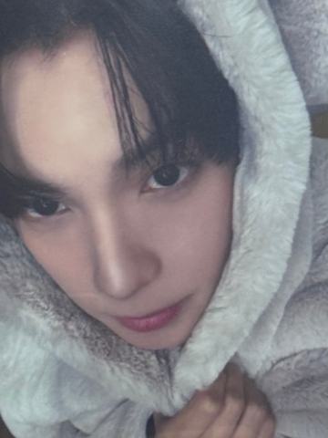 台北场周立牌卡