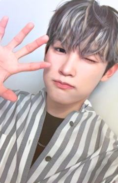 dark版专卡6 ver.A