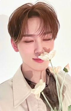 bright版专卡2 ver.A