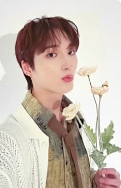 bright版专卡4 ver.A