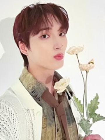 bright版专卡4 ver.A