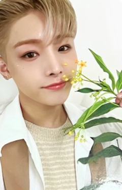 bright版专卡1 ver.A