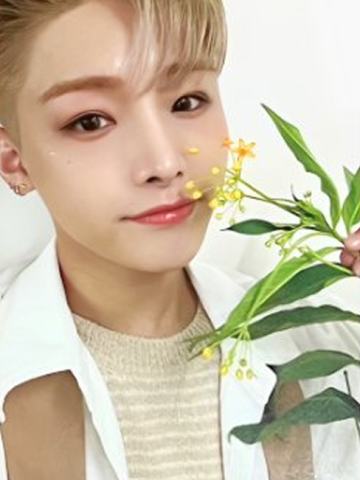 bright版专卡1 ver.A