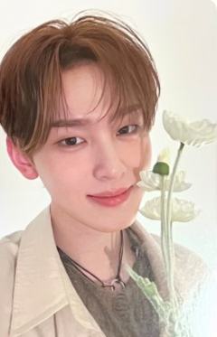 bright版专卡2 ver.B