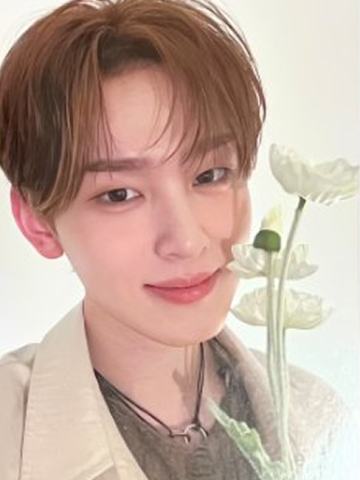 bright版专卡2 ver.B