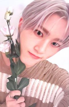 bright版专卡9 ver.B