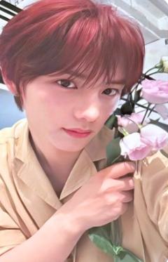 bright版专卡7 ver.A