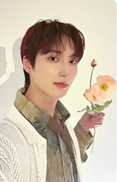 bright版专卡4 ver.B